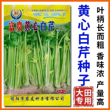 富贵黄心白芹种子叶柄长耐粗香味浓