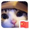 张金鹏的一亩田店铺