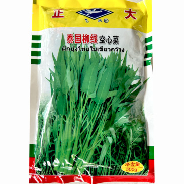 泰国柳绿空心菜种子青梗通心菜种竹叶通心菜蔬菜种子青梗小叶