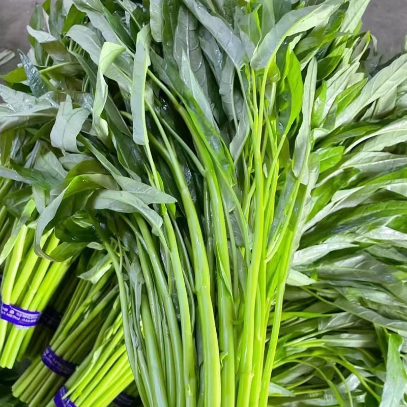泰国柳绿空心菜种子青梗通心菜种竹叶通心菜蔬菜种子青梗小叶