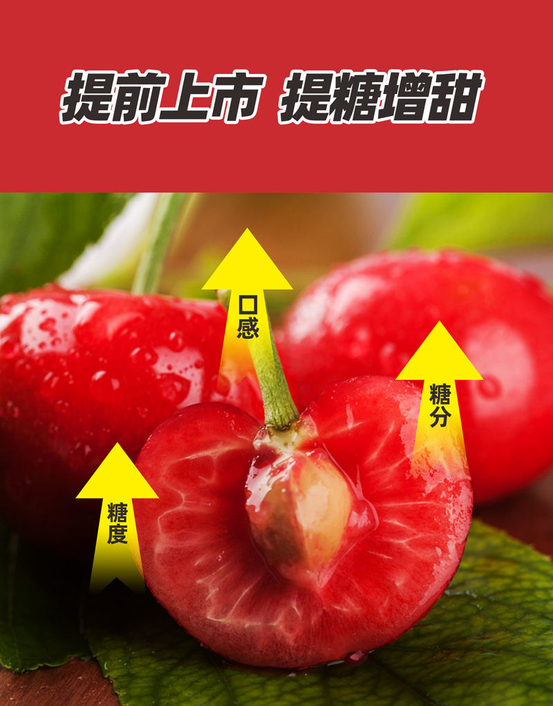 草莓膨大叶面肥药材果树植物快速生长大力雄膨果素细胞分裂素