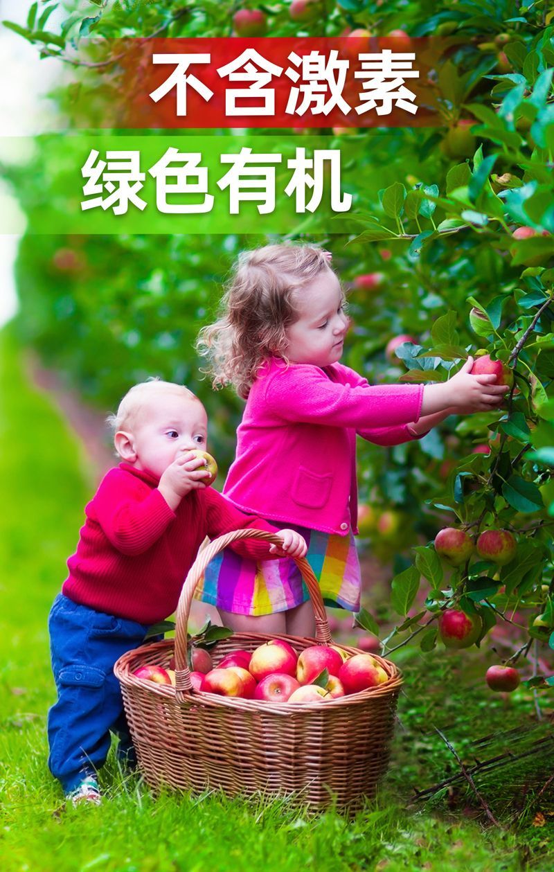 草莓膨大叶面肥药材果树植物快速生长大力雄膨果素细胞分裂素