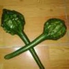 张桂庆的一亩田店铺