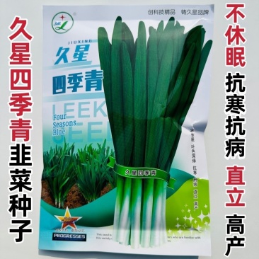 久星四季青韭菜种子抗病抗寒不休眠年收割七八刀