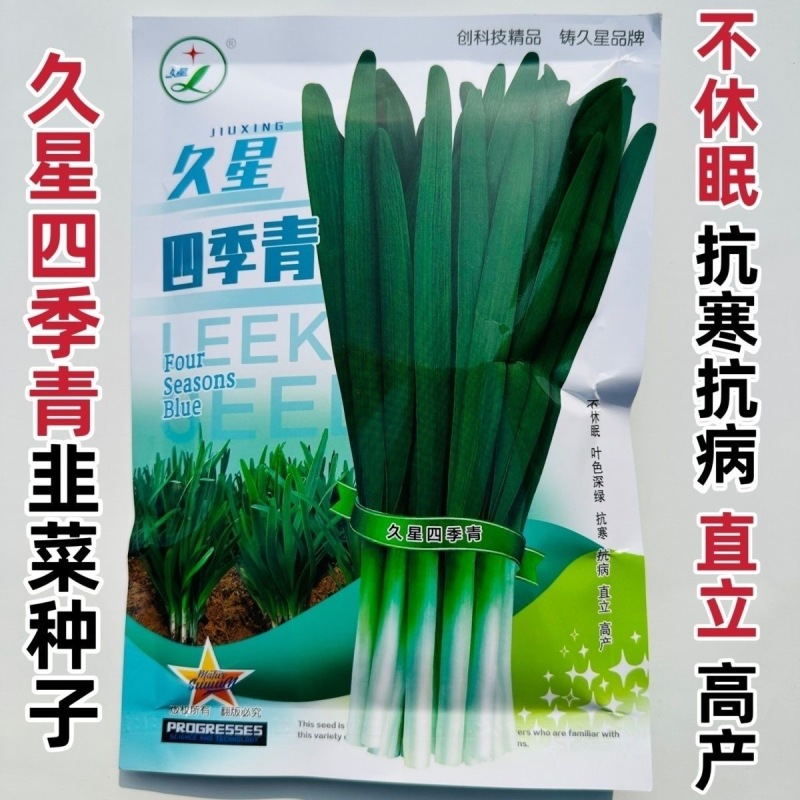 久星四季青韭菜种子抗病抗寒不休眠年收割七八刀