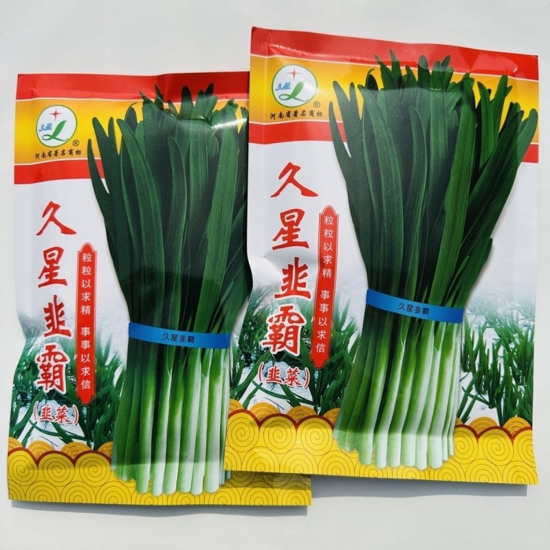 久星韭霸韭菜种子抗寒叶片宽大肥厚辛香味浓