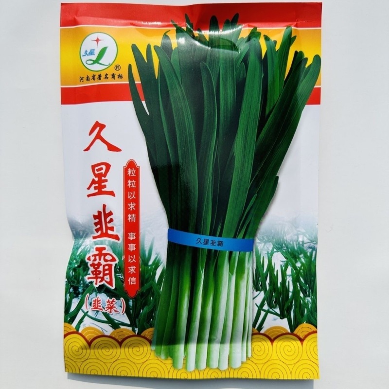 久星韭霸韭菜种子抗寒叶片宽大肥厚辛香味浓