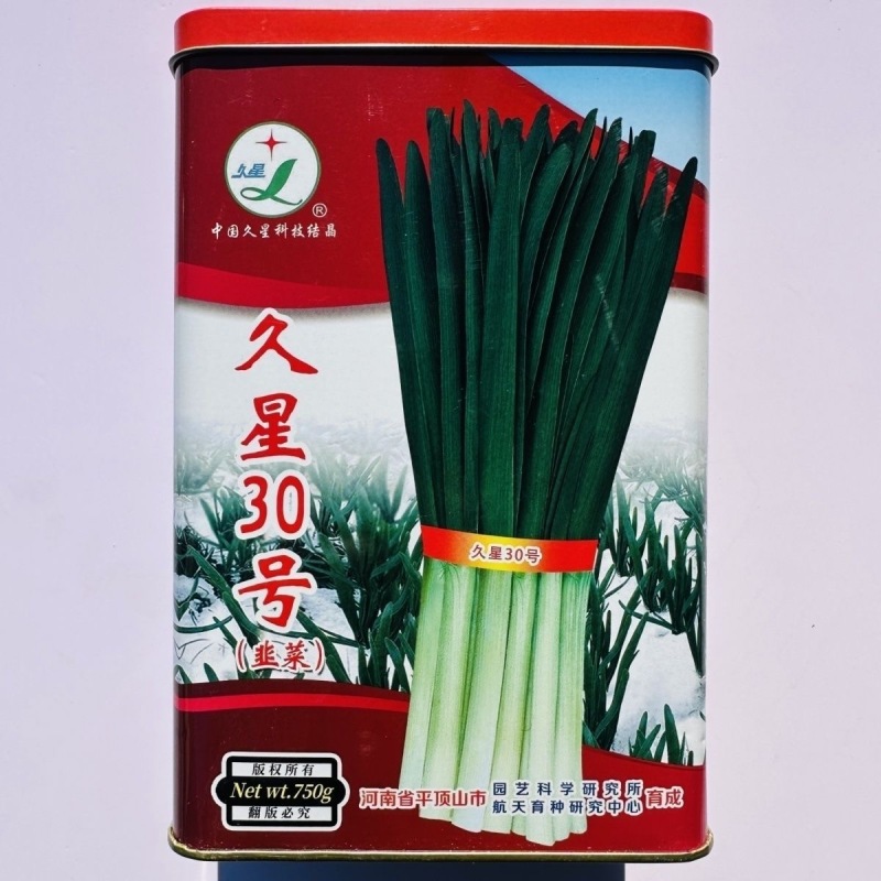 久星30号韭菜种子不休眠抗病抗寒强年割8-9刀