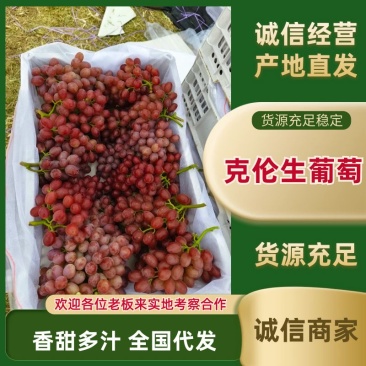 现货2024克伦生葡萄，甜度高，全国发货，量大从优