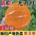 湖北九月红果冻橙源头产地现摘新鲜应季箱装果肉细腻多汁