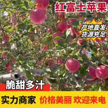 红富士苹果山东红富士苹果皮薄多汁基地直发量大从优