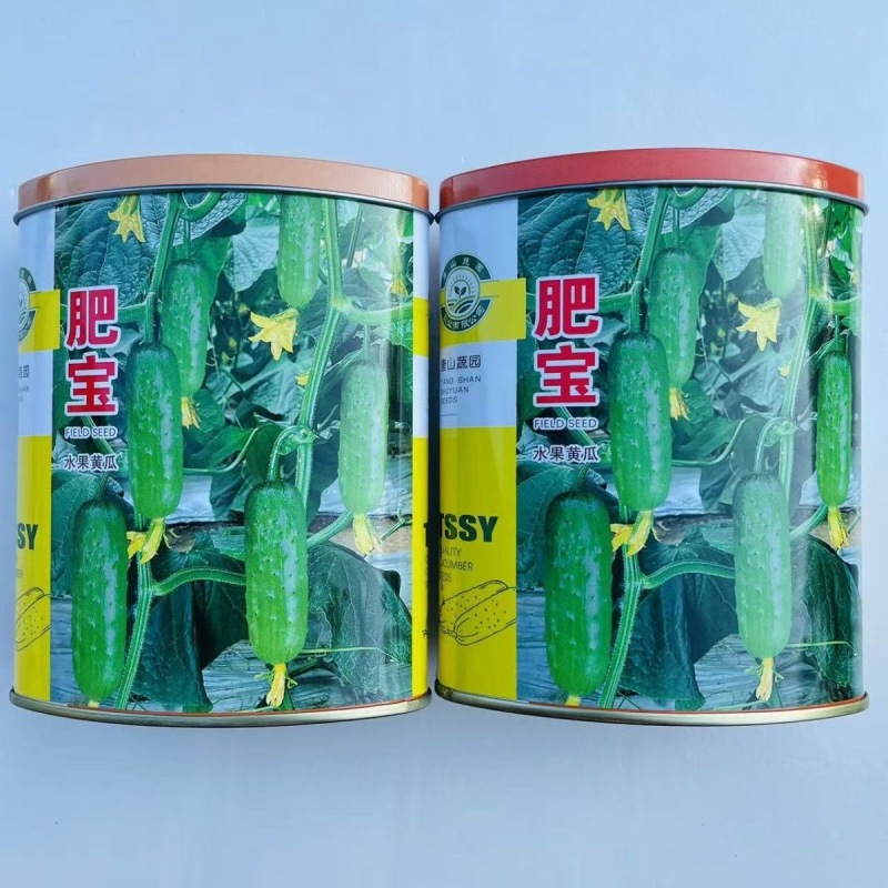 肥宝水果黄瓜种子旱黄瓜种子节节有瓜抗病油亮中刺