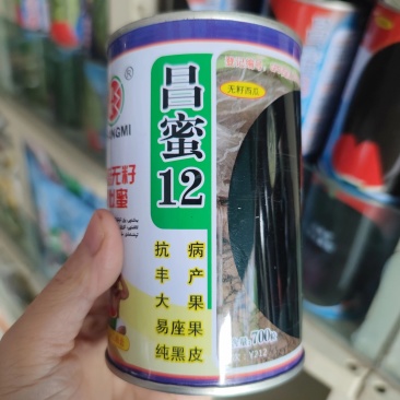 昌蜜12号黑皮无籽西瓜种子中晚熟深绿色果皮硬果肉红