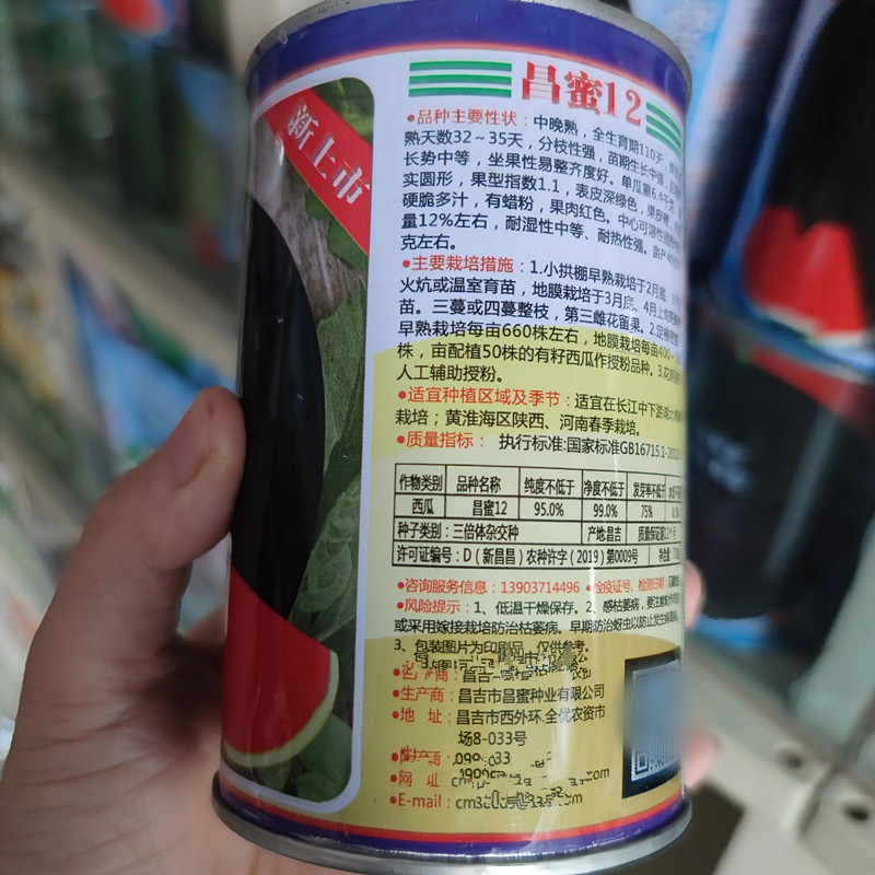昌蜜12号黑皮无籽西瓜种子中晚熟深绿色果皮硬果肉红