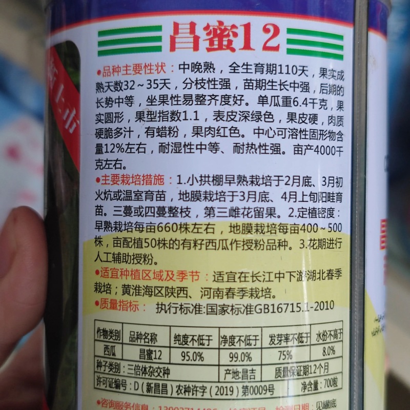 昌蜜12号黑皮无籽西瓜种子中晚熟深绿色果皮硬果肉红