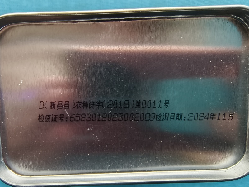 黑虎8号纯黑皮无籽西瓜种子大果抗病不空心油黑亮有白色蜡粉