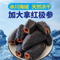加拿大红极参