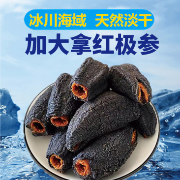 加拿大红极参