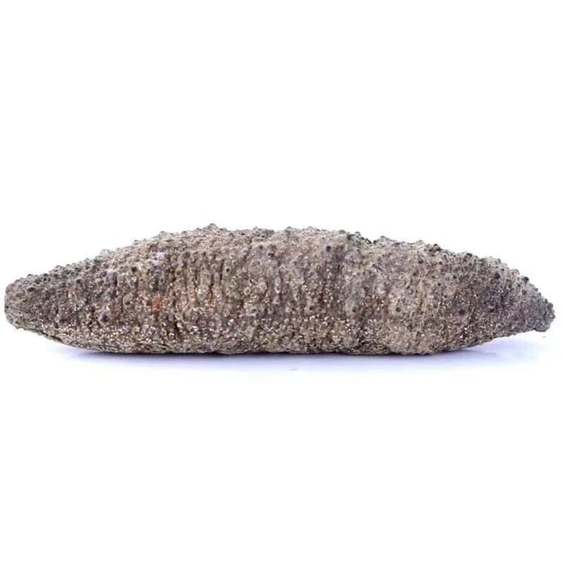 加拿大北极参