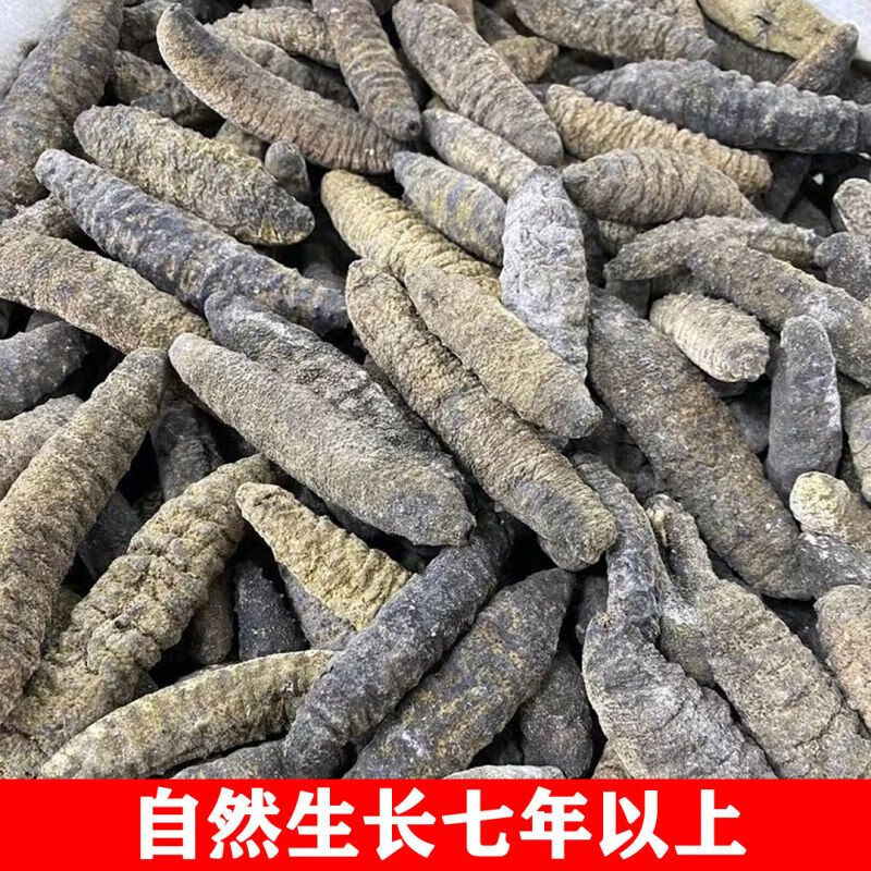 加拿大北极参