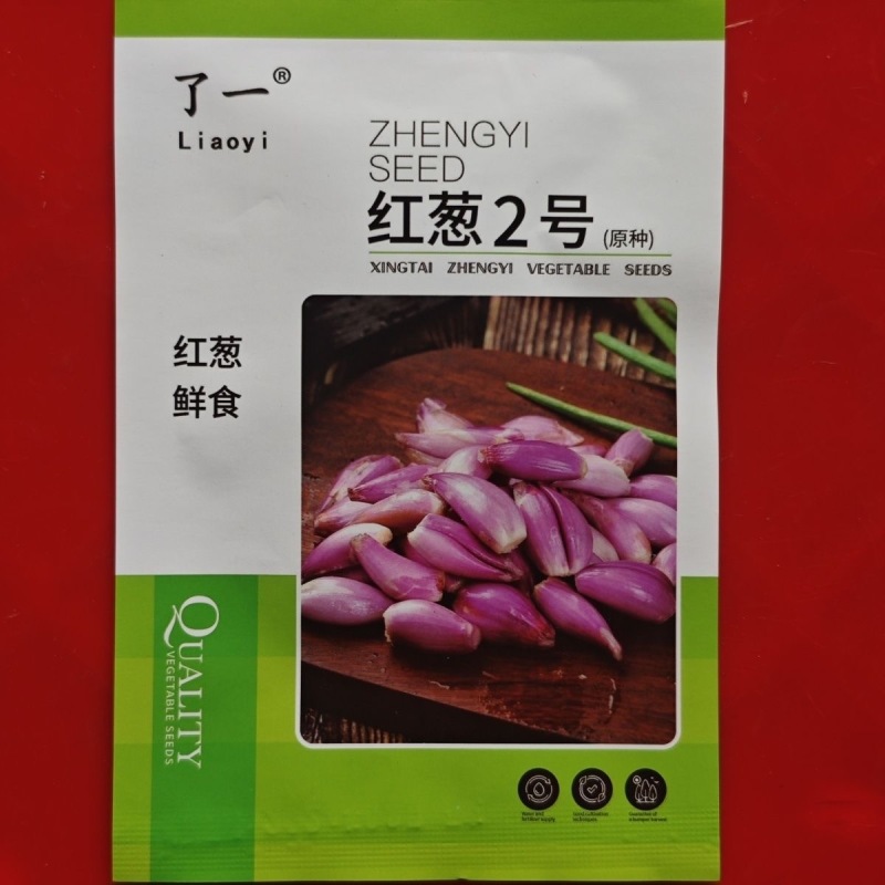 红葱种子鲜食两用品种甜脆微辣耐运输