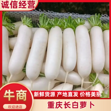 重庆长白萝卜新鲜蔬菜发货白皮长型鲜甜脆嫩价格实惠欢迎批发
