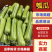 【精品瓠瓜】广东湛江基地直供质量保证一手货源全国发货