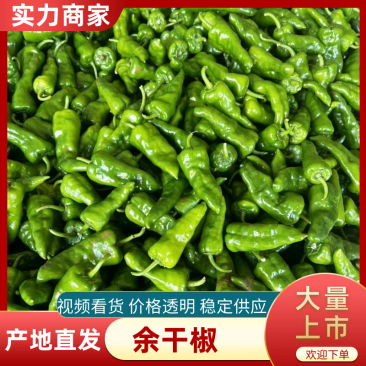 余干椒产地种植:余千椒:千亩供应:市场:超市:平台电商……