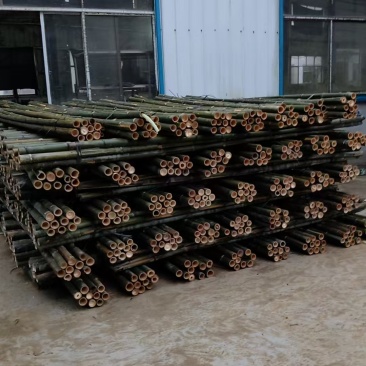 楠竹加工厂直发全国发货行业领先质量好价格低
