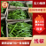 精品线椒大量上市广东徐闻产地直发质量保证量大优惠
