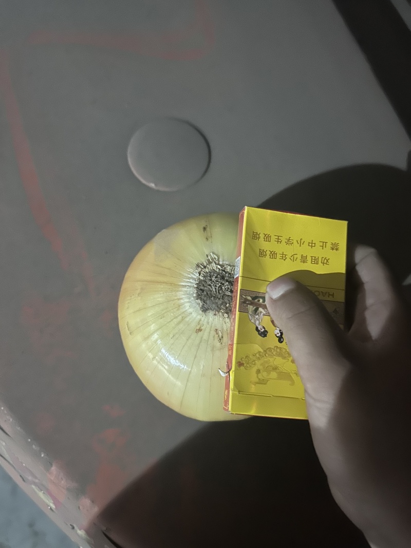 精品黄洋葱对接全国各大电商平台大型批发市场