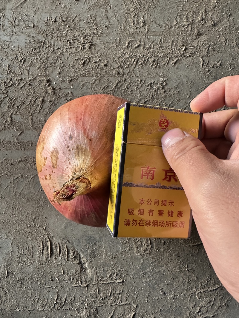 精品黄洋葱对接全国各大电商平台大型批发市场