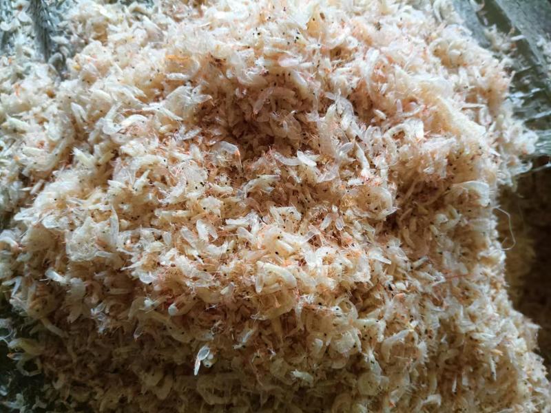 烘干碎赤尾青虾，厂家直发，一手货源，量大从优质量保证