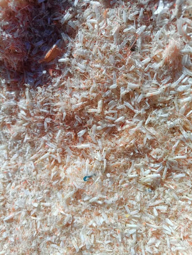 烘干碎赤尾青虾，厂家直发，一手货源，量大从优质量保证