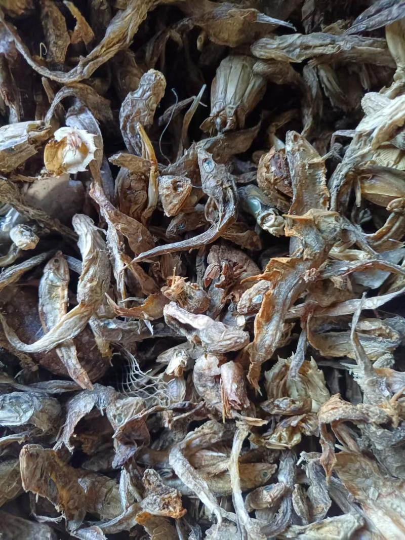 无盐杂鱼干，淡干无盐，味好干度好，易粉碎蛋白高，对接全国