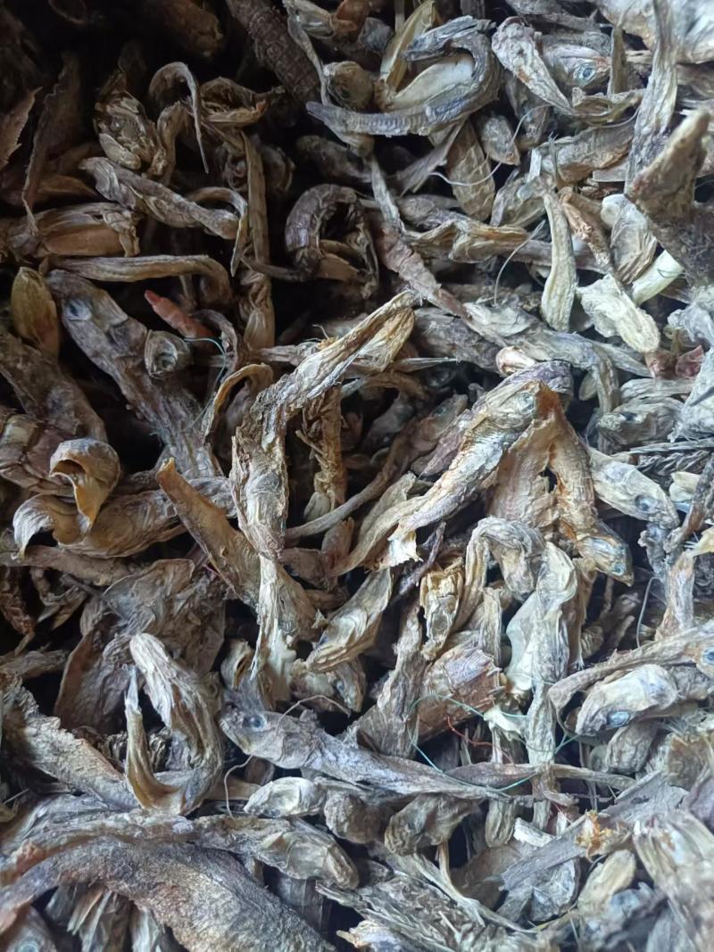 无盐杂鱼干，淡干无盐，味好干度好，易粉碎蛋白高，对接全国