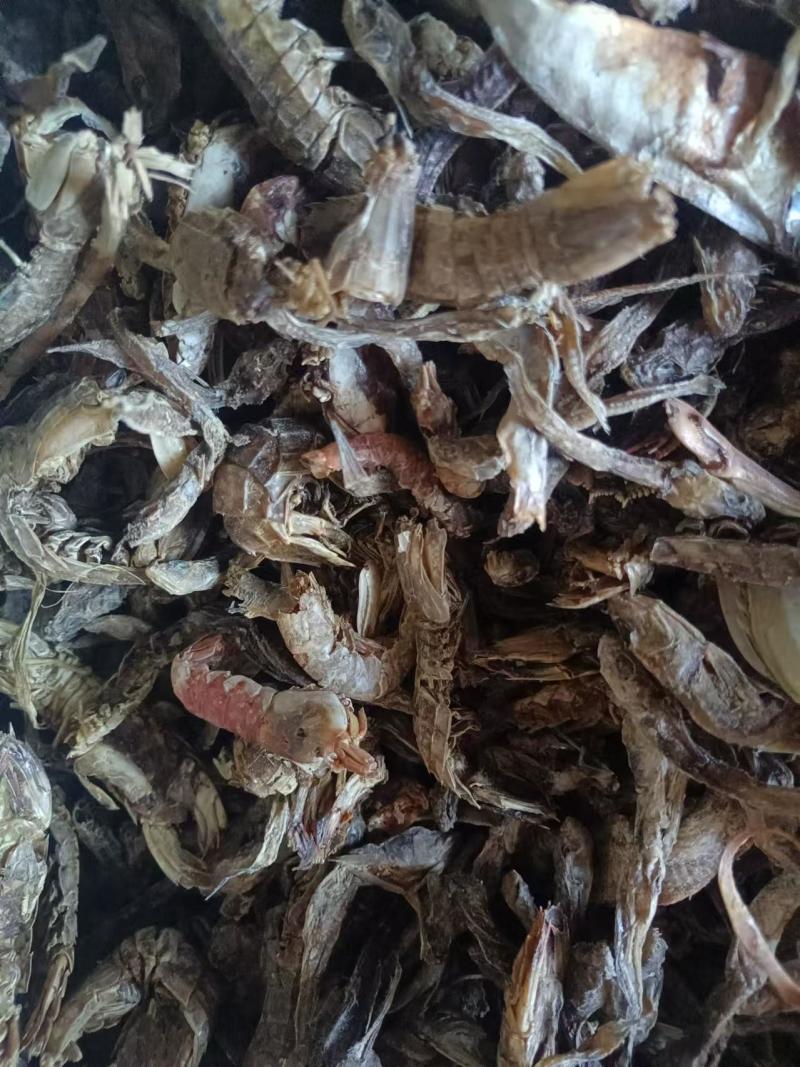 无盐杂鱼干，淡干无盐，味好干度好，易粉碎蛋白高，对接全国