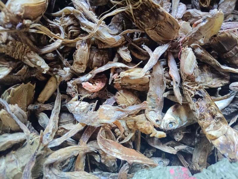 无盐杂鱼干，淡干无盐，味好干度好，易粉碎蛋白高，对接全国