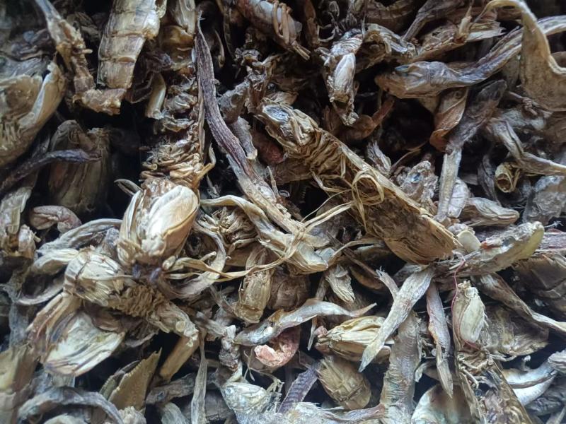 无盐杂鱼干，淡干无盐，味好干度好，易粉碎蛋白高，对接全国