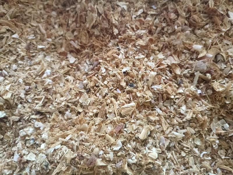 海虾糠味好微量元素丰富，尤其钙磷含量高，是养殖业的好帮手