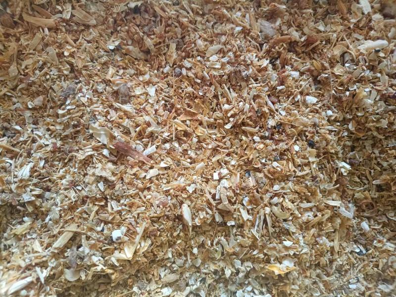 海虾糠味好微量元素丰富，尤其钙磷含量高，是养殖业的好帮手