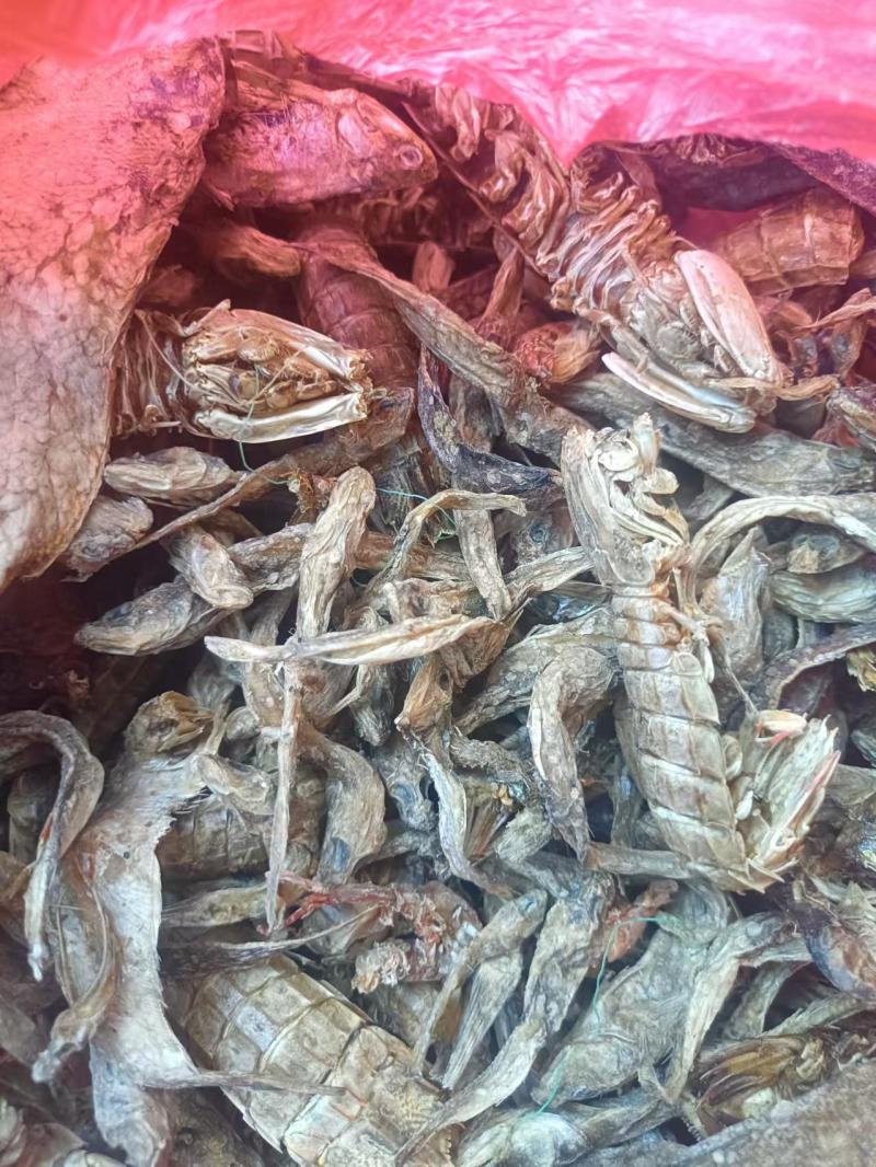 饲料鱼干，淡干，干度好，鱼种类多，营养更全面品质保障