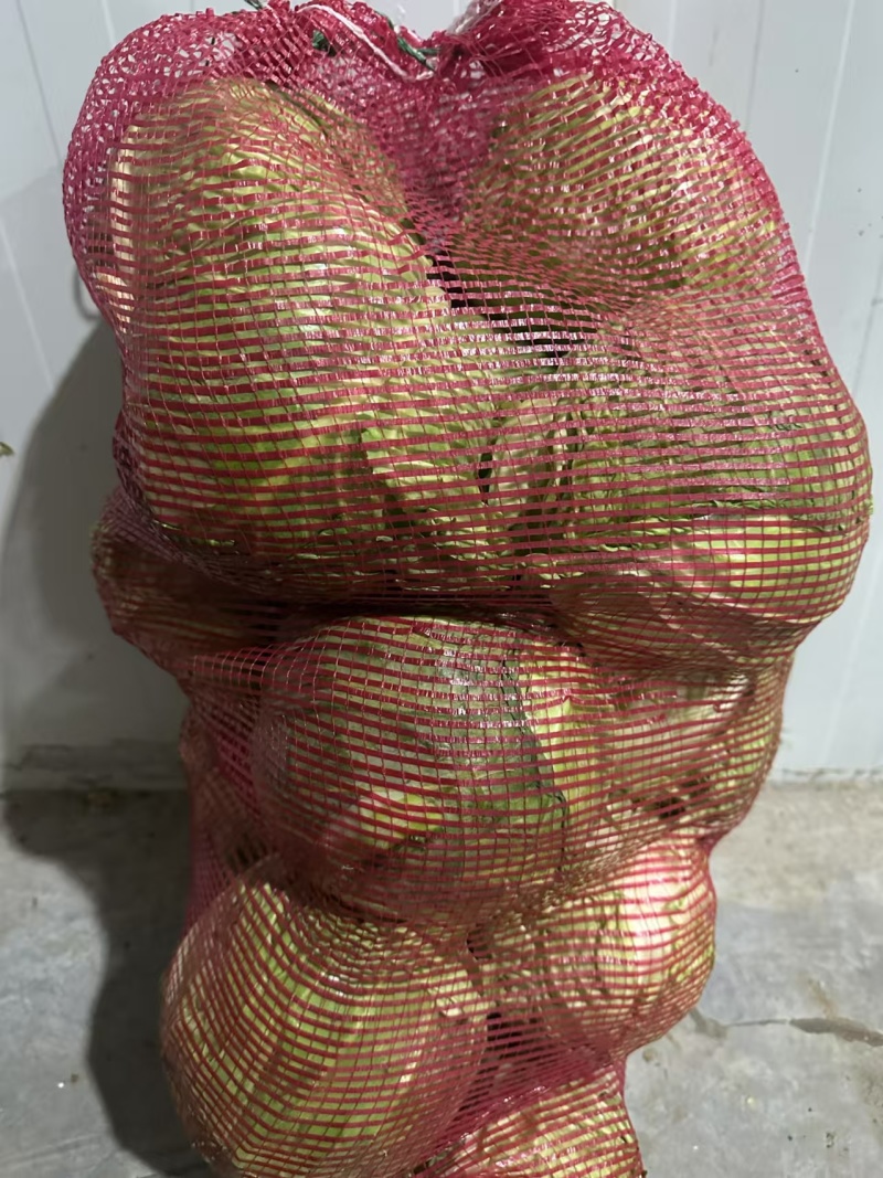 山东甘蓝圆包菜，一手货源，保质保量，诚信经营，欢迎选购