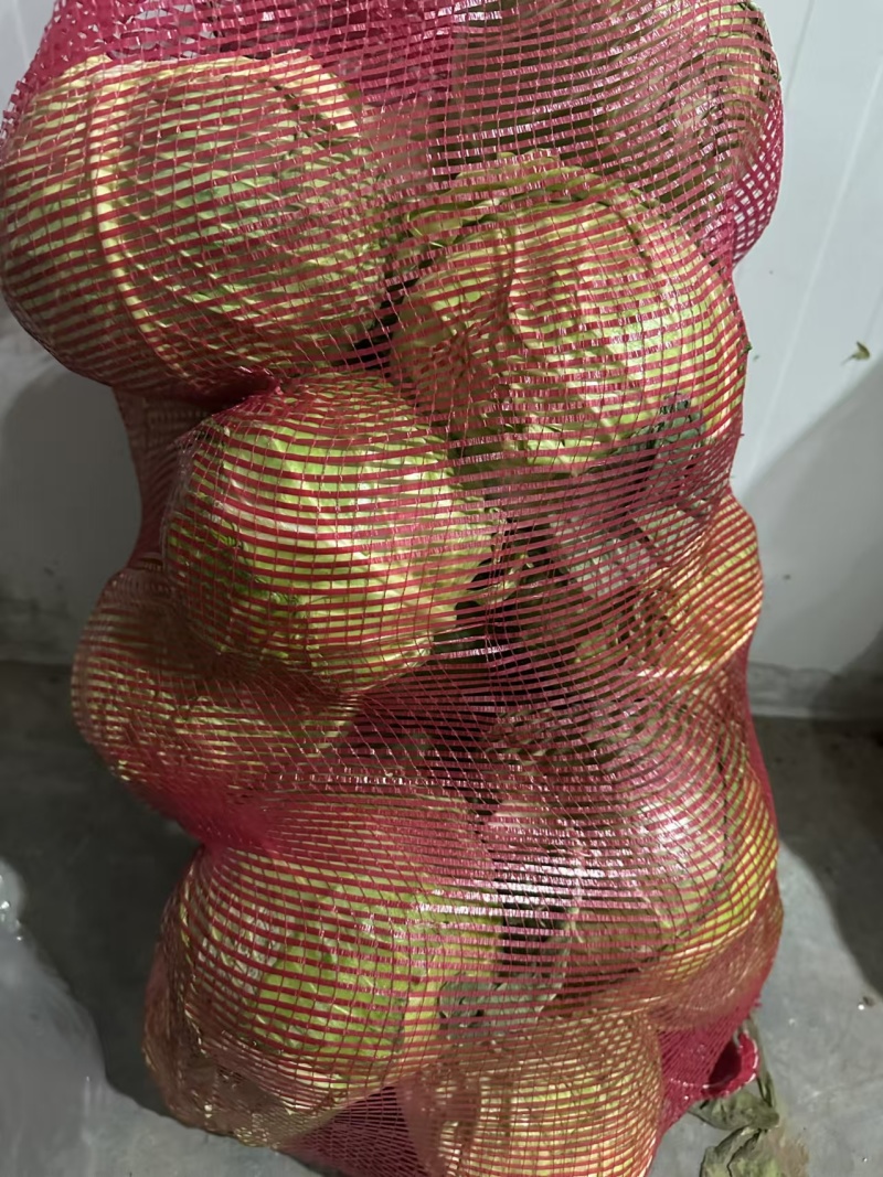 山东甘蓝圆包菜，一手货源，保质保量，诚信经营，欢迎选购