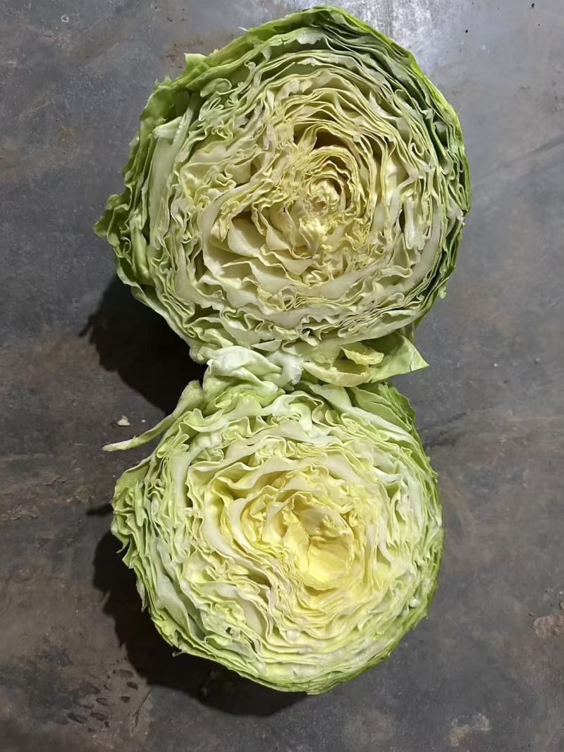 半软甘蓝规格齐全品质保证量大从优可视频看货