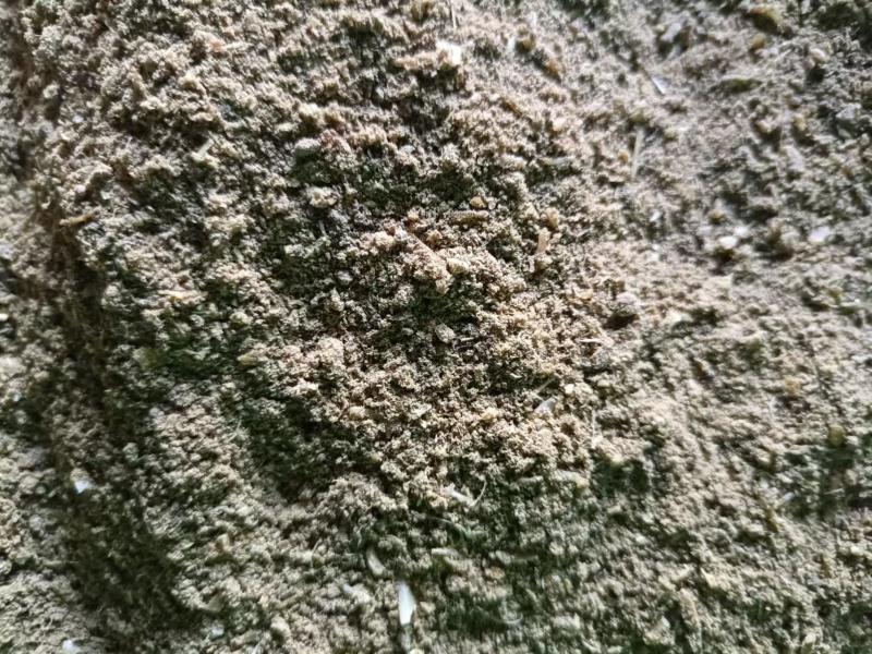 国产鱼粉蛋白51，新鲜度60纯鱼制作蛋白高，吸收好养殖用