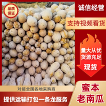 安徽南瓜，万亩基地，大量上市，诚信经营合作共赢。