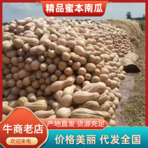 广西密本老南瓜，甜糯，皮毛光亮支持线上交易。
