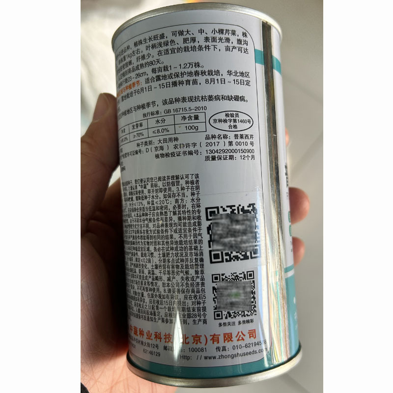 中蔬普莱西芹种子大芹菜浅绿色嫩芹浅黄色100g基地品种