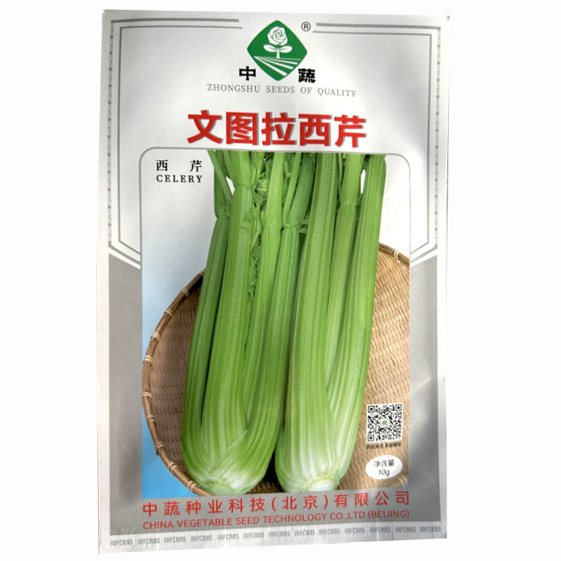 中蔬普莱西芹种子大芹菜浅绿色嫩芹浅黄色100g基地品种